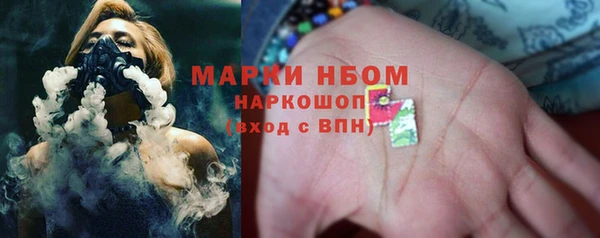 сатива Новокубанск