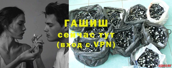 сатива Новокубанск