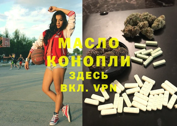 сатива Новокубанск
