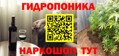 шишки Заводоуковск