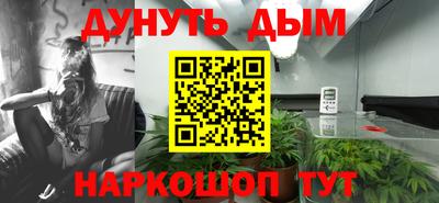 шишки Заводоуковск