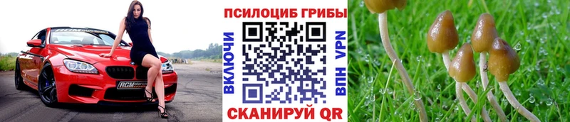 Псилоцибиновые грибы GOLDEN TEACHER  купить   Ревда 