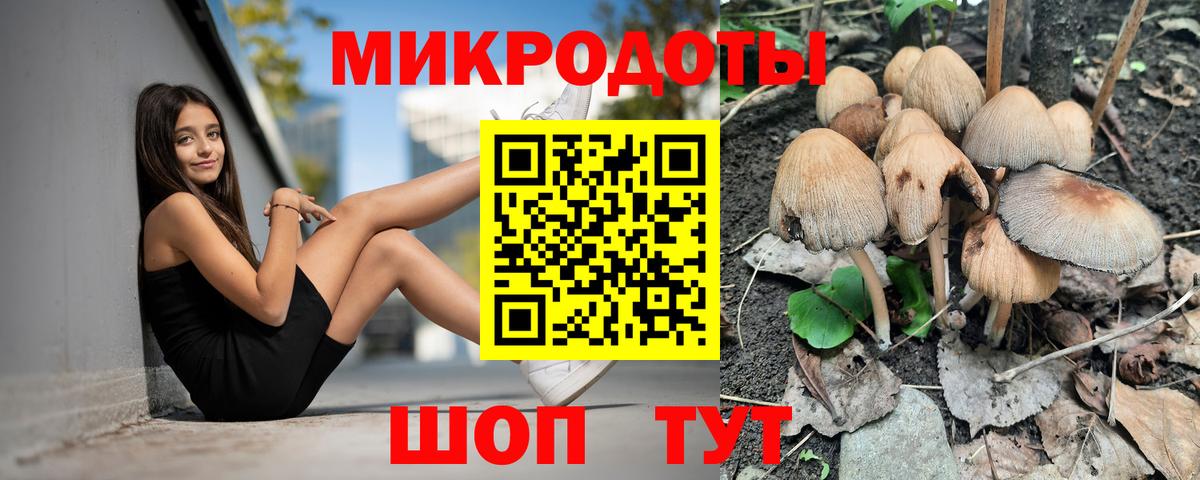 Псилоцибиновые грибы MAGIC MUSHROOMS  Вход с VPN  Ревда 