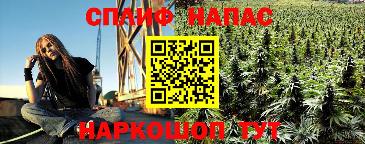 Марихуана White Widow Ревда